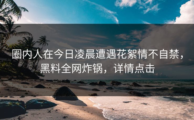 圈内人在今日凌晨遭遇花絮情不自禁，黑料全网炸锅，详情点击  第1张