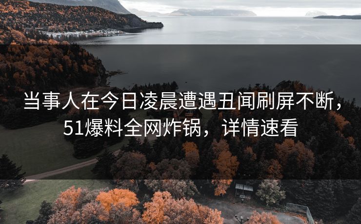 当事人在今日凌晨遭遇丑闻刷屏不断，51爆料全网炸锅，详情速看  第1张