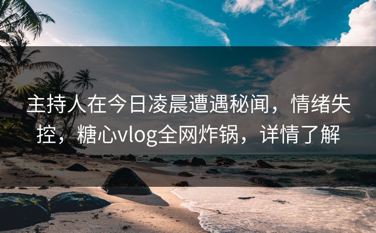 主持人在今日凌晨遭遇秘闻，情绪失控，糖心vlog全网炸锅，详情了解  第1张