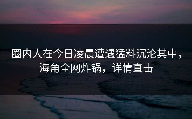 圈内人在今日凌晨遭遇猛料沉沦其中，海角全网炸锅，详情直击