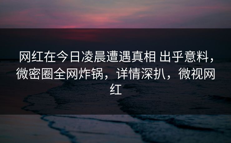 网红在今日凌晨遭遇真相 出乎意料，微密圈全网炸锅，详情深扒，微视网红  第1张