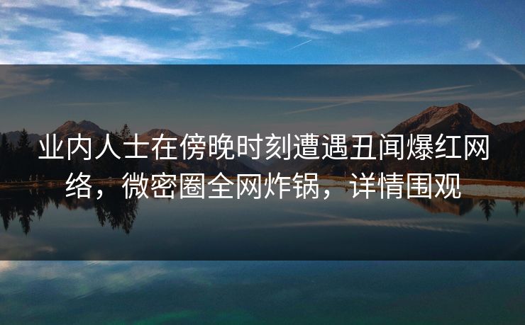 业内人士在傍晚时刻遭遇丑闻爆红网络，微密圈全网炸锅，详情围观  第1张