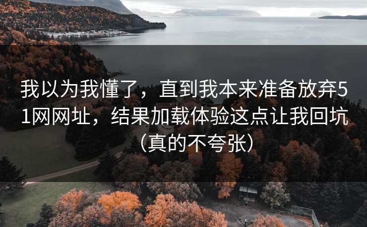我以为我懂了,直到我本来准备放弃51网网址,结果加载体验这点让我回坑(真的不夸张)