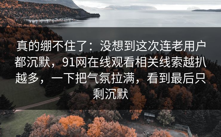 真的绷不住了：没想到这次连老用户都沉默，91网在线观看相关线索越扒越多，一下把气氛拉满，看到最后只剩沉默